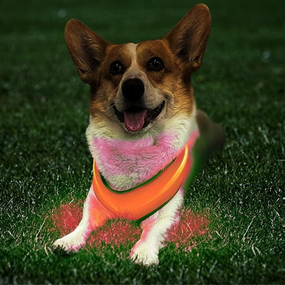 NEW L DAIJUN LED RED Dog Harness, USB Rechargeable, Reflective Light Up Adjust